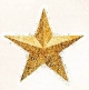 Glitter (5)